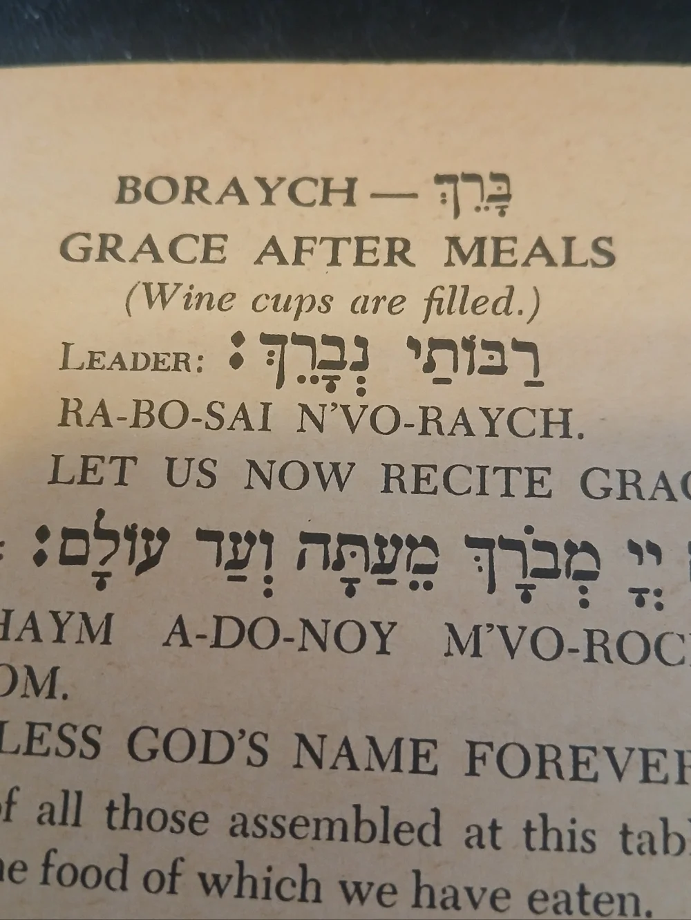 Vintage Book 1958 HAGGADAH Passover Soft Cover Hebrew Berkowitz Rabbi